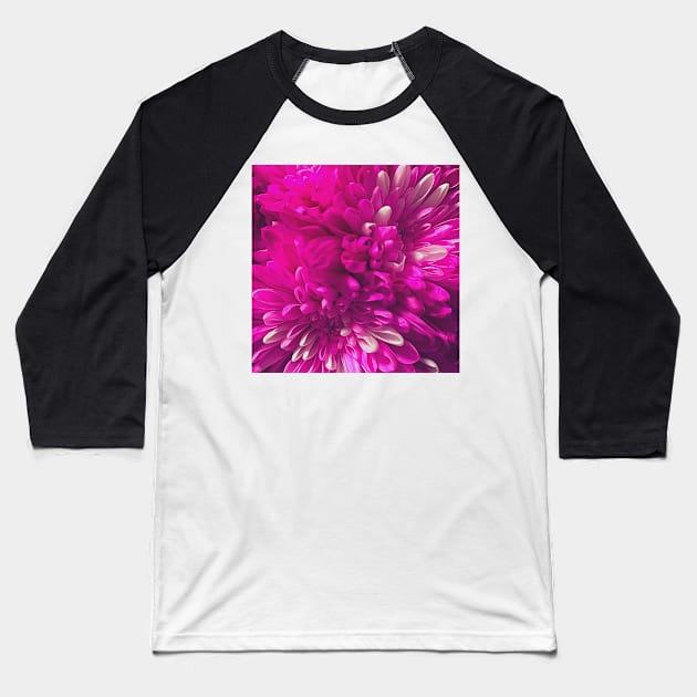 Chrysanthemum flowers close up photo Baseball T-Shirt by EdenLiving